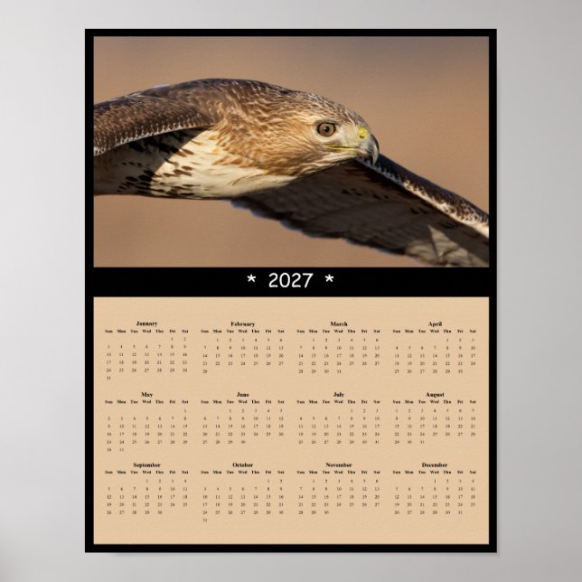 2027 Red-tailed Hawk Wall Calendar - Raptor Poster (Front)