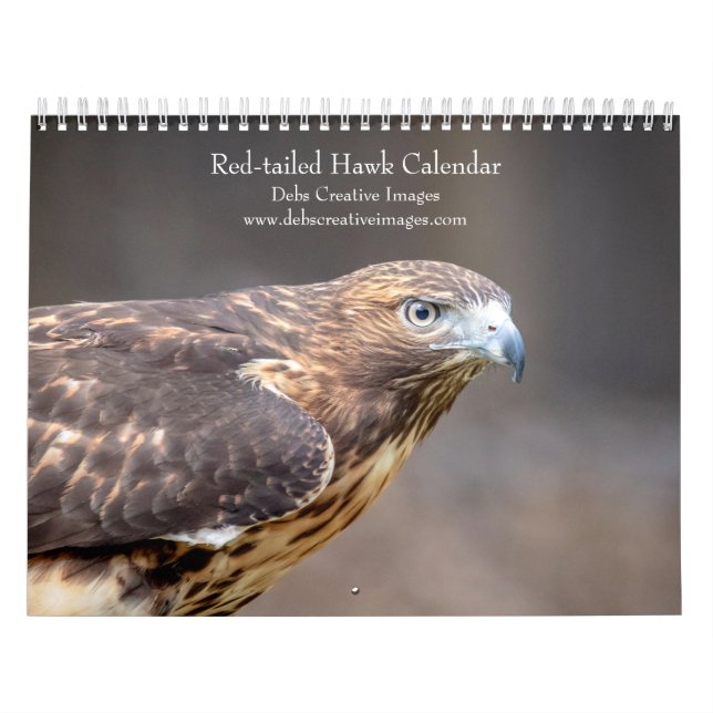 2027 Red-tailed Hawks | North American Hawk Calendar (Cover)