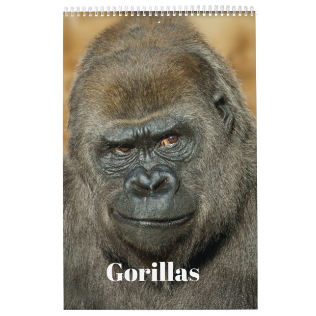 2027 Signature SloggerVlogger Gorilla Family Calendar (Cover)