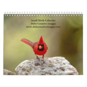 2027 Small Birds Backyard Bird Photography Calendar