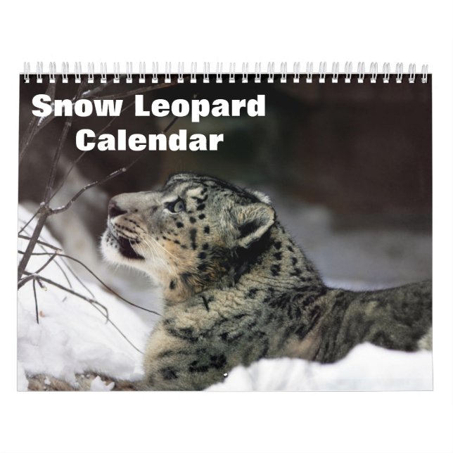 2027 Snow leopard Calendar (Cover)