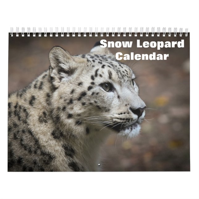 2027 Snow leopard Calendar (Cover)