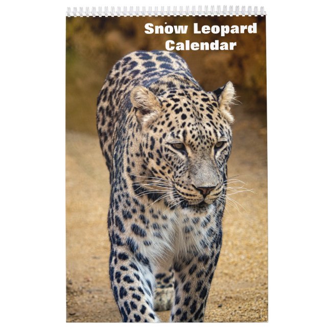 2027 Snow leopard Calendar (Cover)