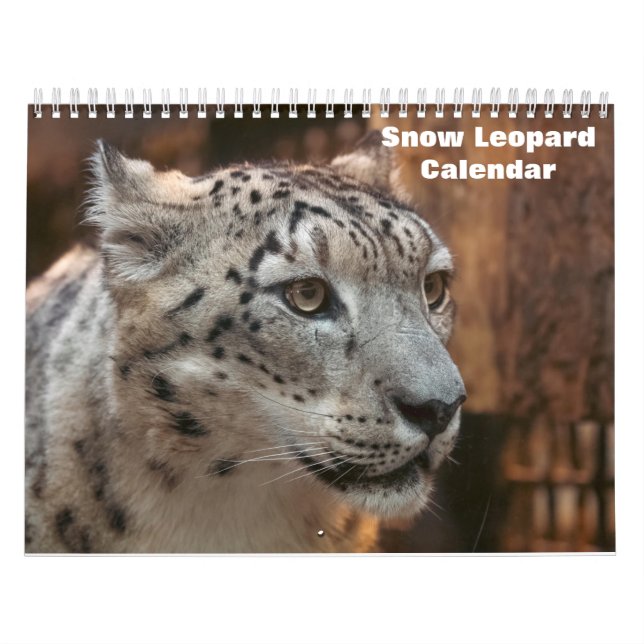 2027 Snow leopard Calendar (Cover)