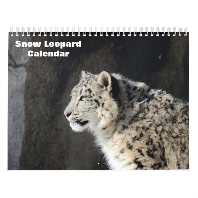 2027 Snow leopard Calendar (Cover)