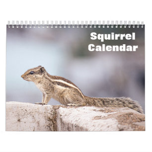 2027 Squirrel Calendar