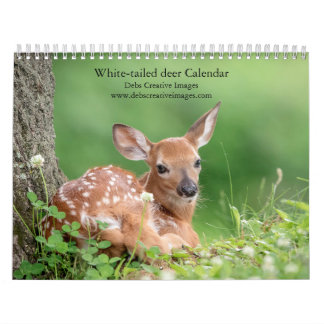 2027 White-tailed Deer Family | Woodland Wildlife Calendar