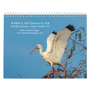 2027 Wildlife at John Chesnut Sr. Park   Florida Calendar