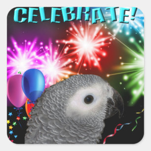 20 African Grey Stickers