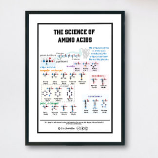 20 amino acids with its characteristics poster
