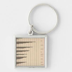 20 Urban to total population by states Key Ring