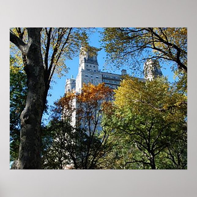 20" x 16", Value Poster Paper (Matte) (Front)