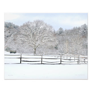 20 x 16 Walden Woods Project Farm Photo Print