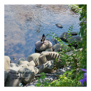 20" x 20", Poster (Semi-Gloss)