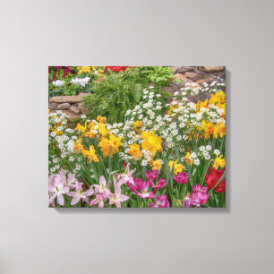 20x16 Colourful Spring Flowers in full bloom Canvas Print