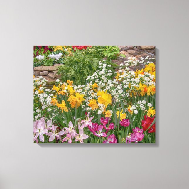 20x16 Colourful Spring Flowers in full bloom Canvas Print (Front)