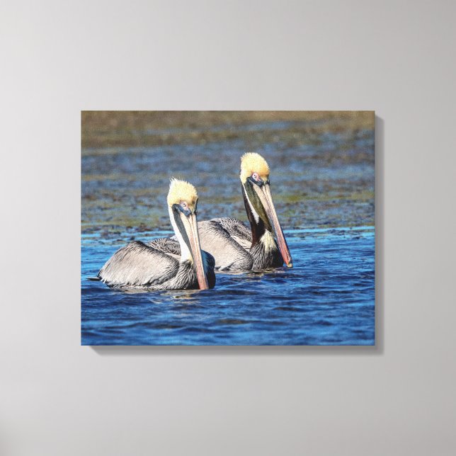 20x16 Pair of Pelicans Canvas Print (Front)
