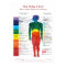 20x28 Chakra Chart: The Roby Chart