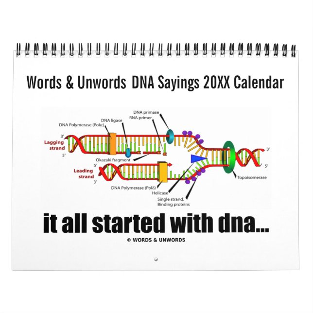 20XX DNA Sayings Calendar (DNA Replication Humour) (Cover)