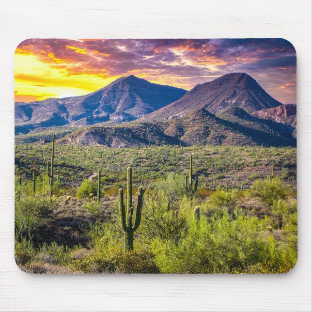 2124-2-Arizona Desert at Sunset with Cactus Mouse Pad (Front)