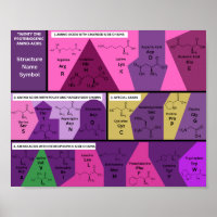 21 proteinogenic amino acids in biology structure