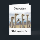 **21** YOU ARE NOW a LEGAL ADULT **GRANDSON** CARD<br><div class="desc">HAPPY BIRTHDAY  ***GRANDSON**** THANKS FOR STOPPING BY ONE OF MY EIGHT STORES!</div>