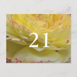 21st Birthday Delicate Floral Postcard