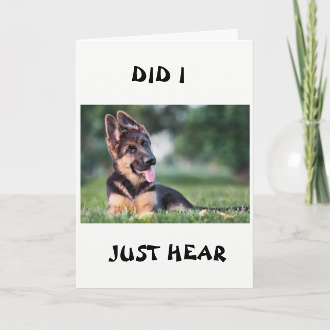 *21st BIRTHDAY* DOG HEARD ALL ABOUT IT Card (Front)