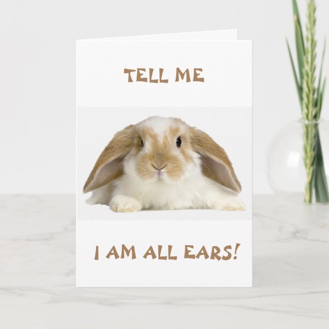 **21st** BIRTHDAY HUMOR FROM *FUNNY BUNNY" Card (Front)