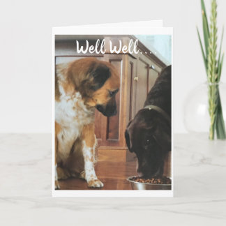 *21st BIRTHDAY* HUMOR FROM THE DOGS! Card