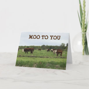 **21st BIRTHDAY** MOO TO YOU SAYS COWS Card
