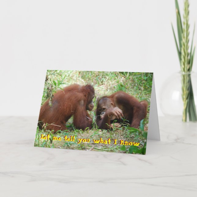 21st Birthday No Fake ID Card (Front)