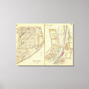 22-23 White Plains Canvas Print