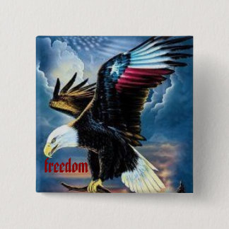 22 eagle, freedom 15 cm square badge