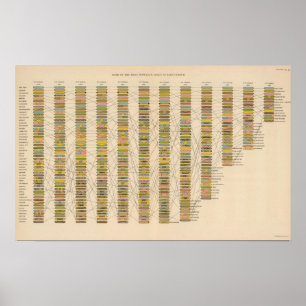 22 Rank of cities Poster
