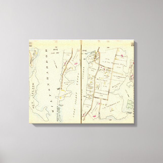 230231 Rye Canvas Print (Front)