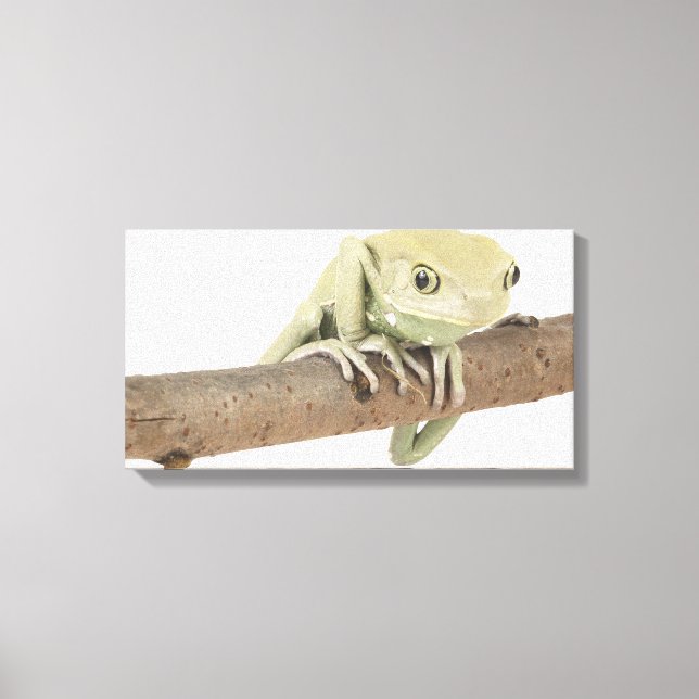 23568119 CANVAS PRINT (Front)