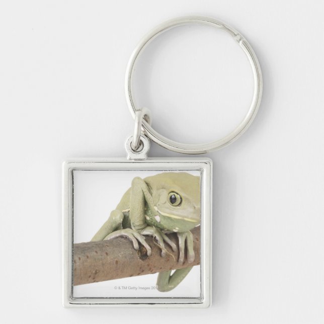 23568119 KEY RING (Front)