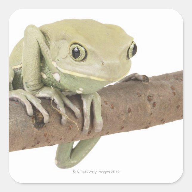 23568119 SQUARE STICKER (Front)