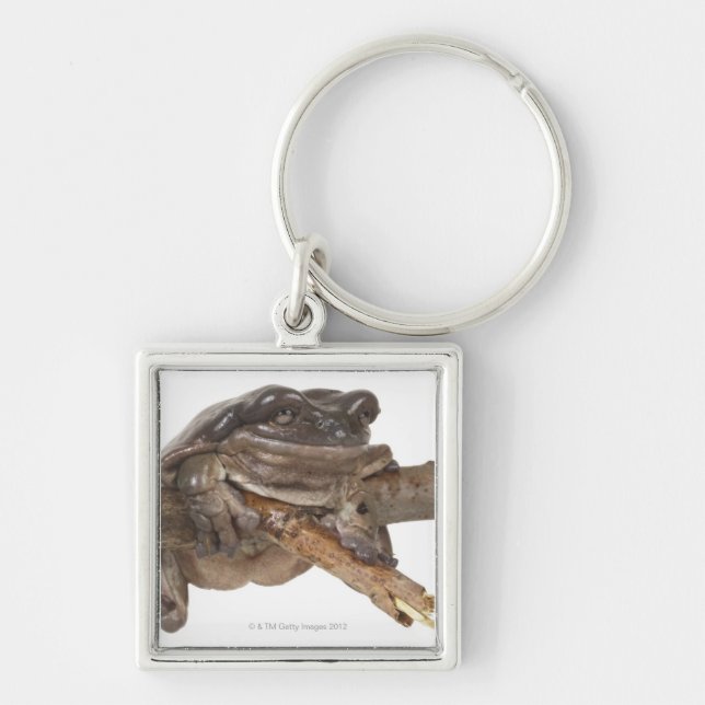 23568138 KEY RING (Front)