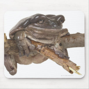 23568138 MOUSE PAD