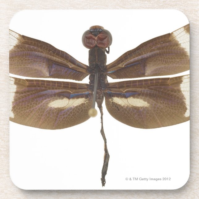 23599152 COASTER (Front)