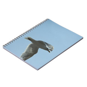 2367 NOTEBOOK
