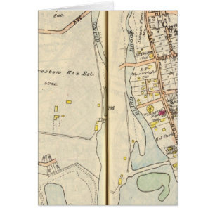 238239 Rye
