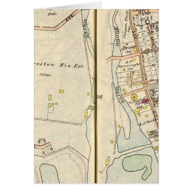 238239 Rye (Front)