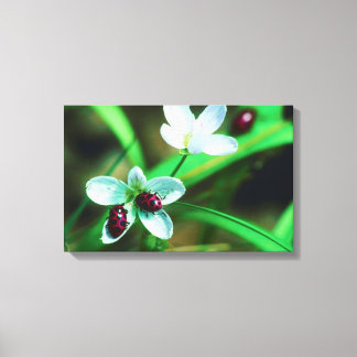 23873200 CANVAS PRINT