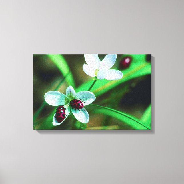 23873200 CANVAS PRINT (Front)