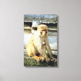 23884652 CANVAS PRINT