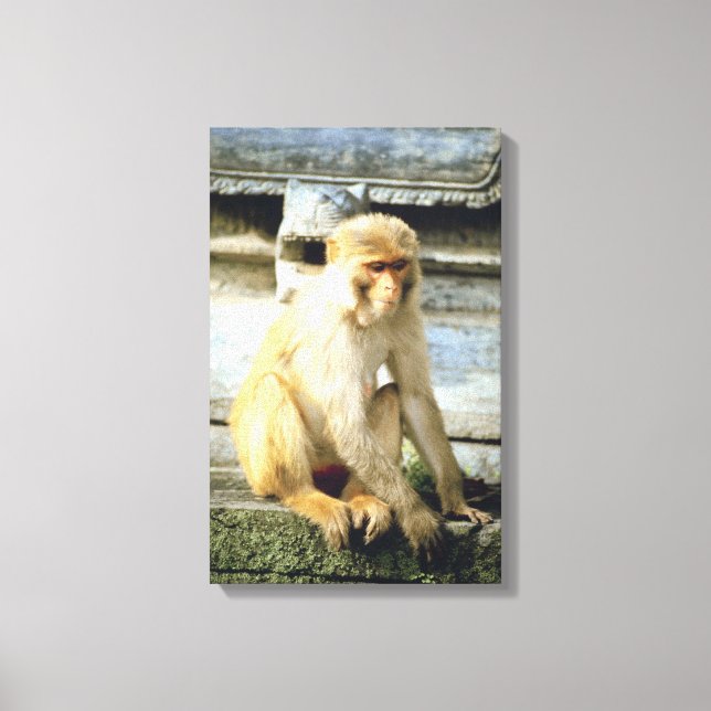 23884652 CANVAS PRINT (Front)