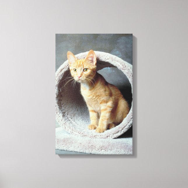 23893010 CANVAS PRINT (Front)